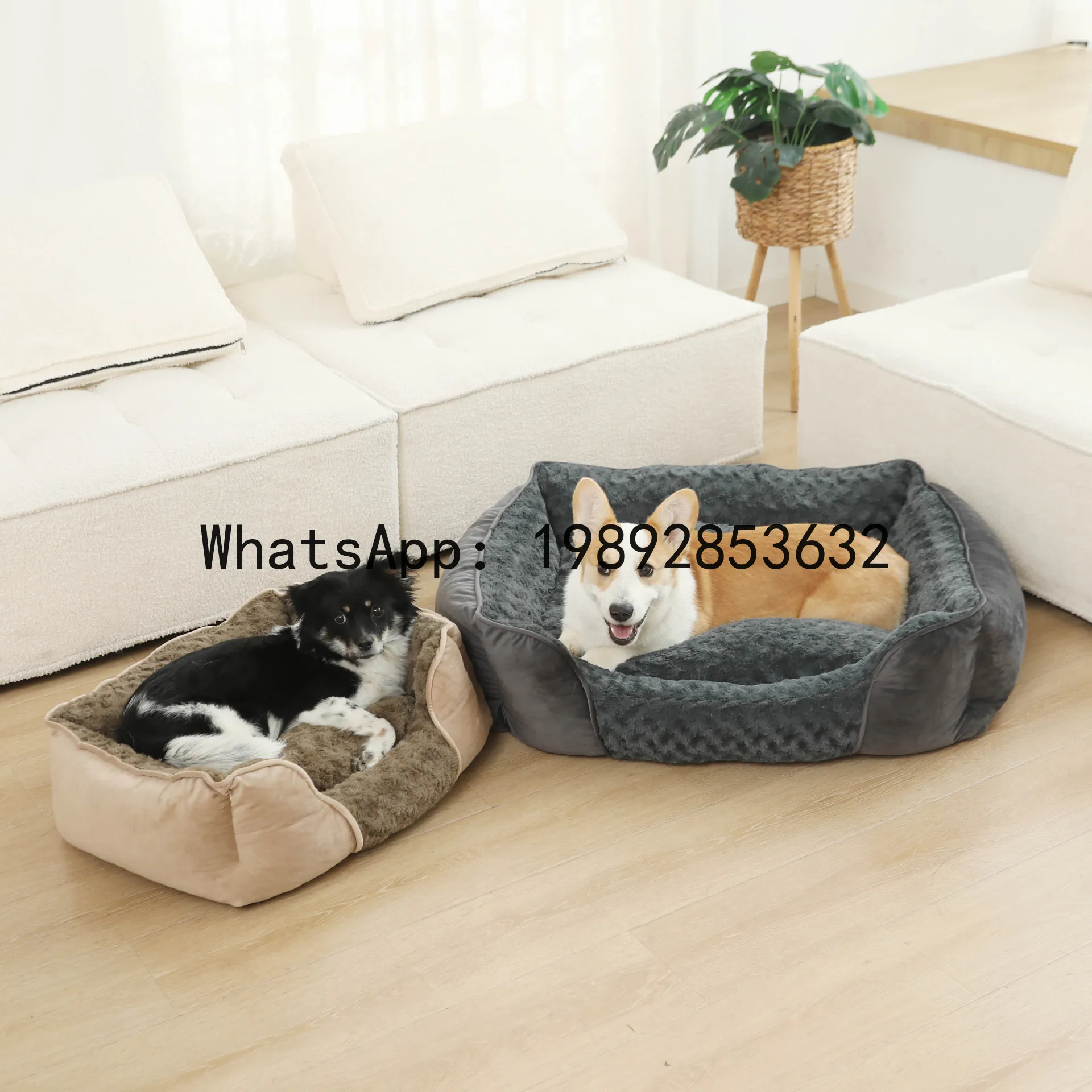 Pet X Supplies - X cat house semi-enclosed dog kennel
