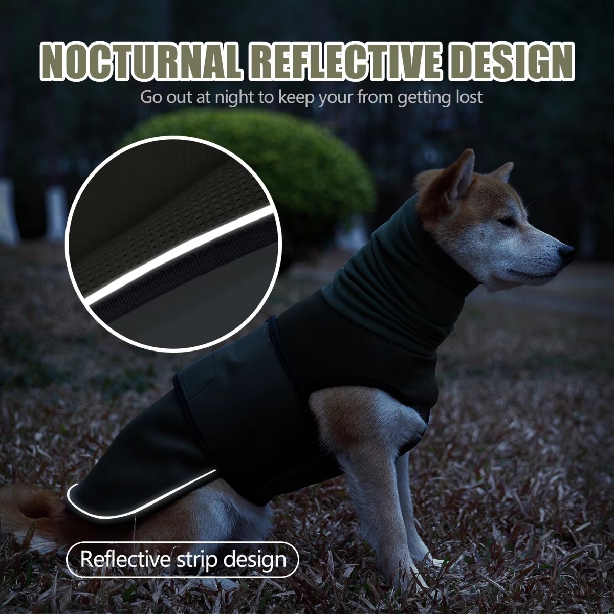 Dog Anxiety Vest and Coat-Keep - Dog Anxiety Vest review and price