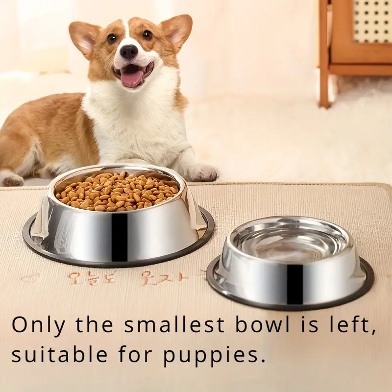 Non-slip Stainless Steel Dog B - Pet Supplies Dropshipping review and price