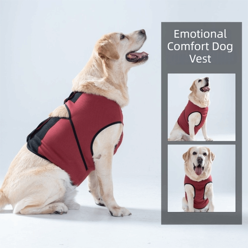 Breathable Dog Calming Vest Ad - Dog Anxiety Vest review and price