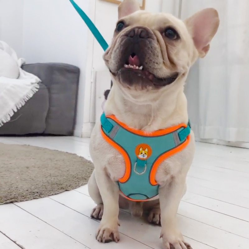 Adjustable Reflective Dog Harn - No Pull Dog Harness review and price