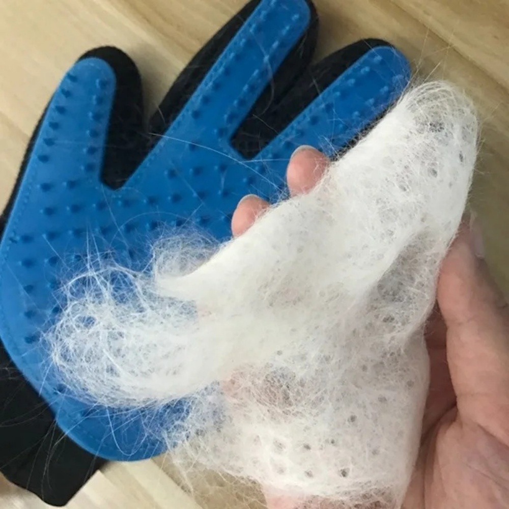 Pet Cat Dog Grooming Gloves Ca - Pet Supplies Dropshipping review and price