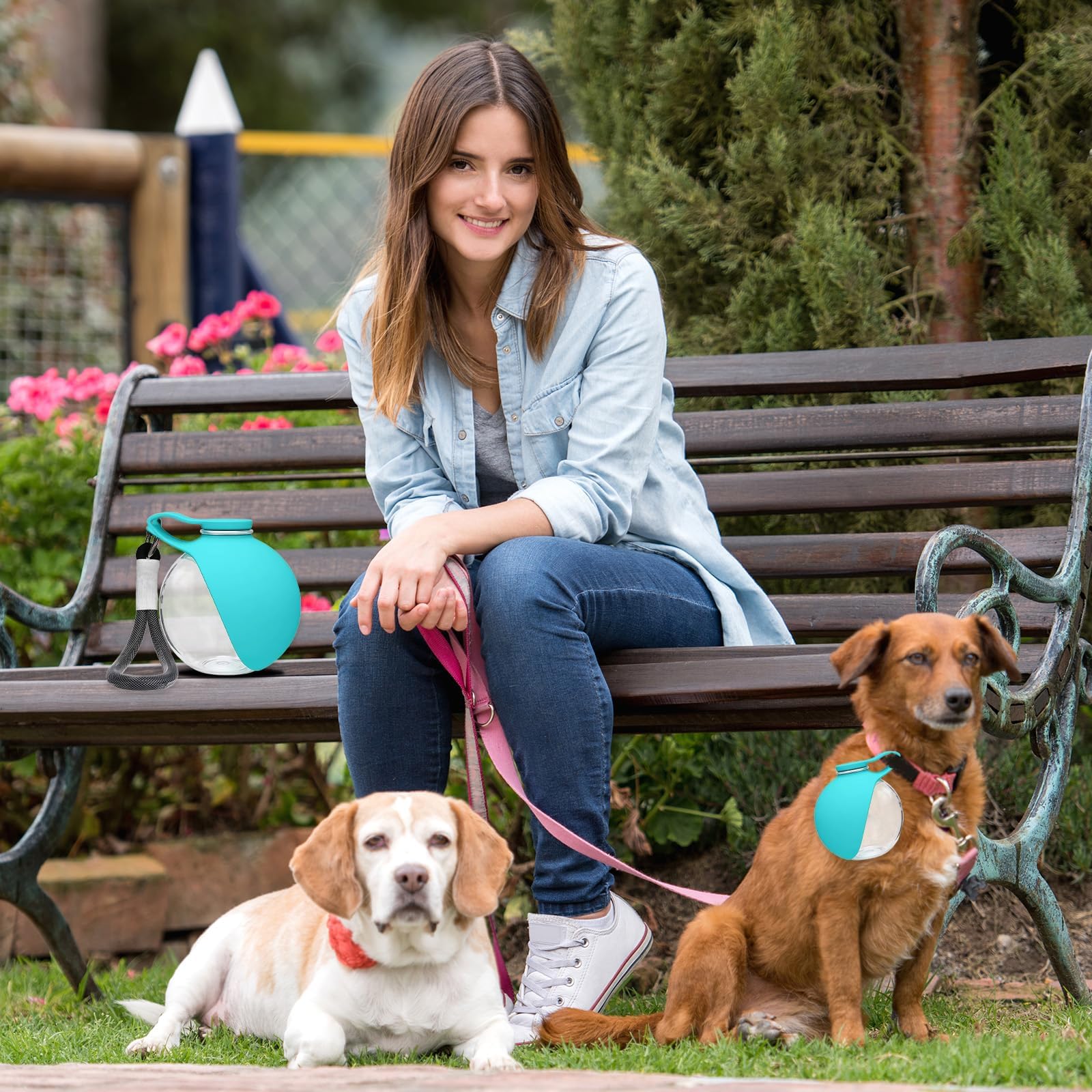New 2026 2 in 1 Portable Dog W - Pet Supplies Dropshipping review and price