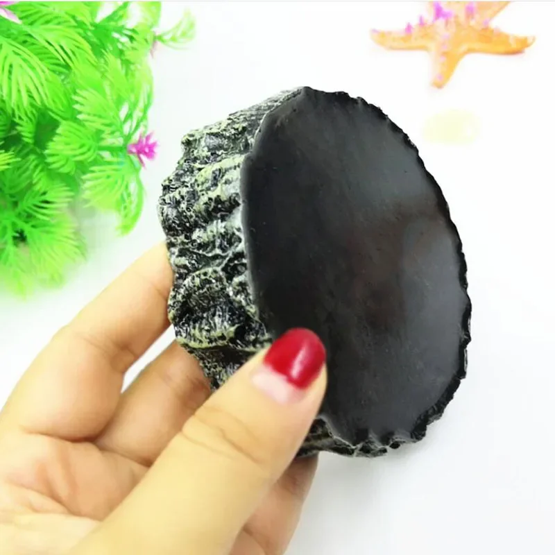 Pet Reptile Feeder Bowl Resin  - Pet Supplies Dropshipping review and price