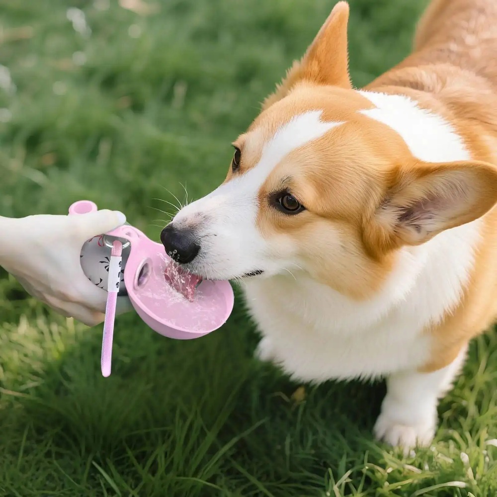 500ml Stainless Steel Dog Wate - Pet Supplies Dropshipping review and price