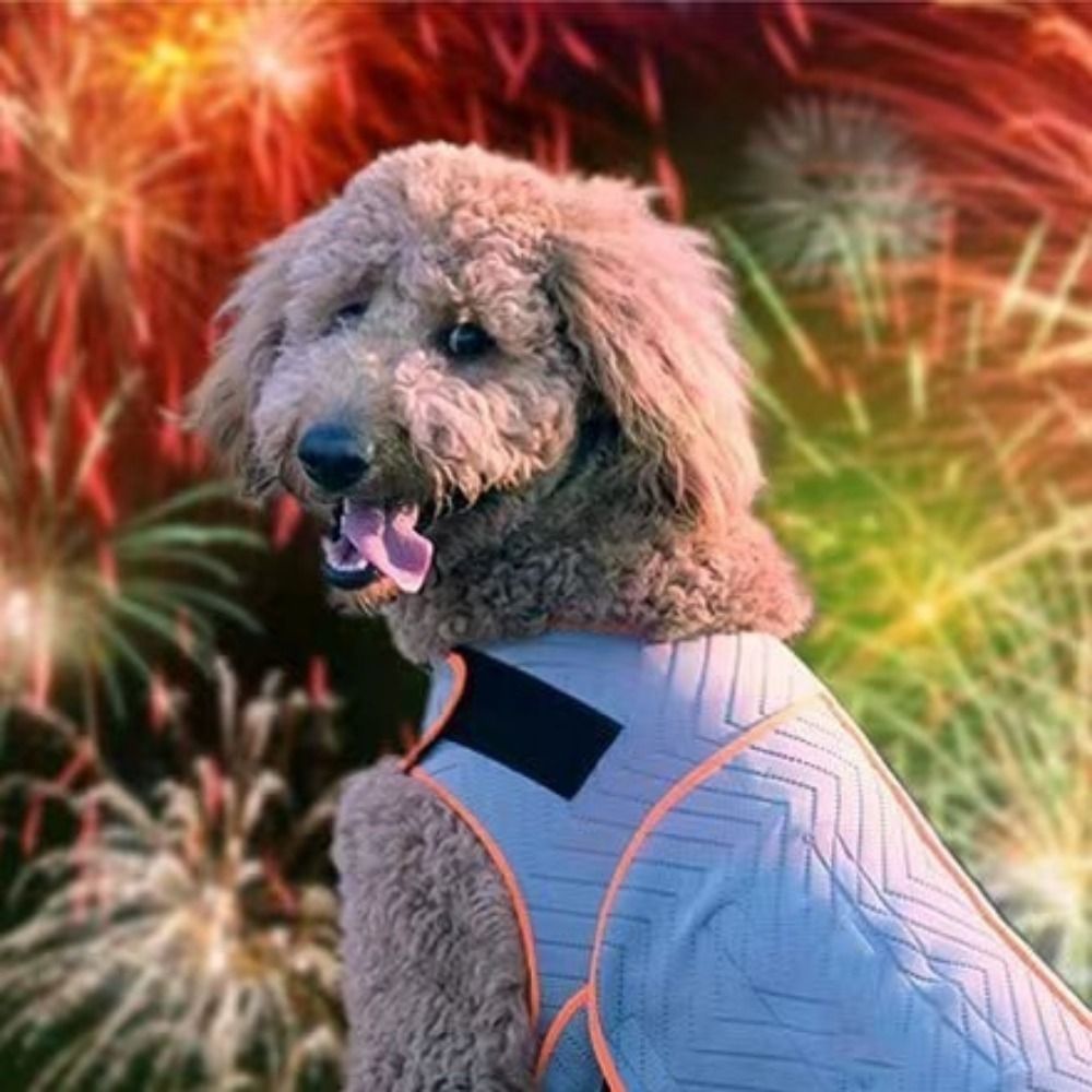 Practical Elastic Dog Anxiety  - Dog Anxiety Vest review and price