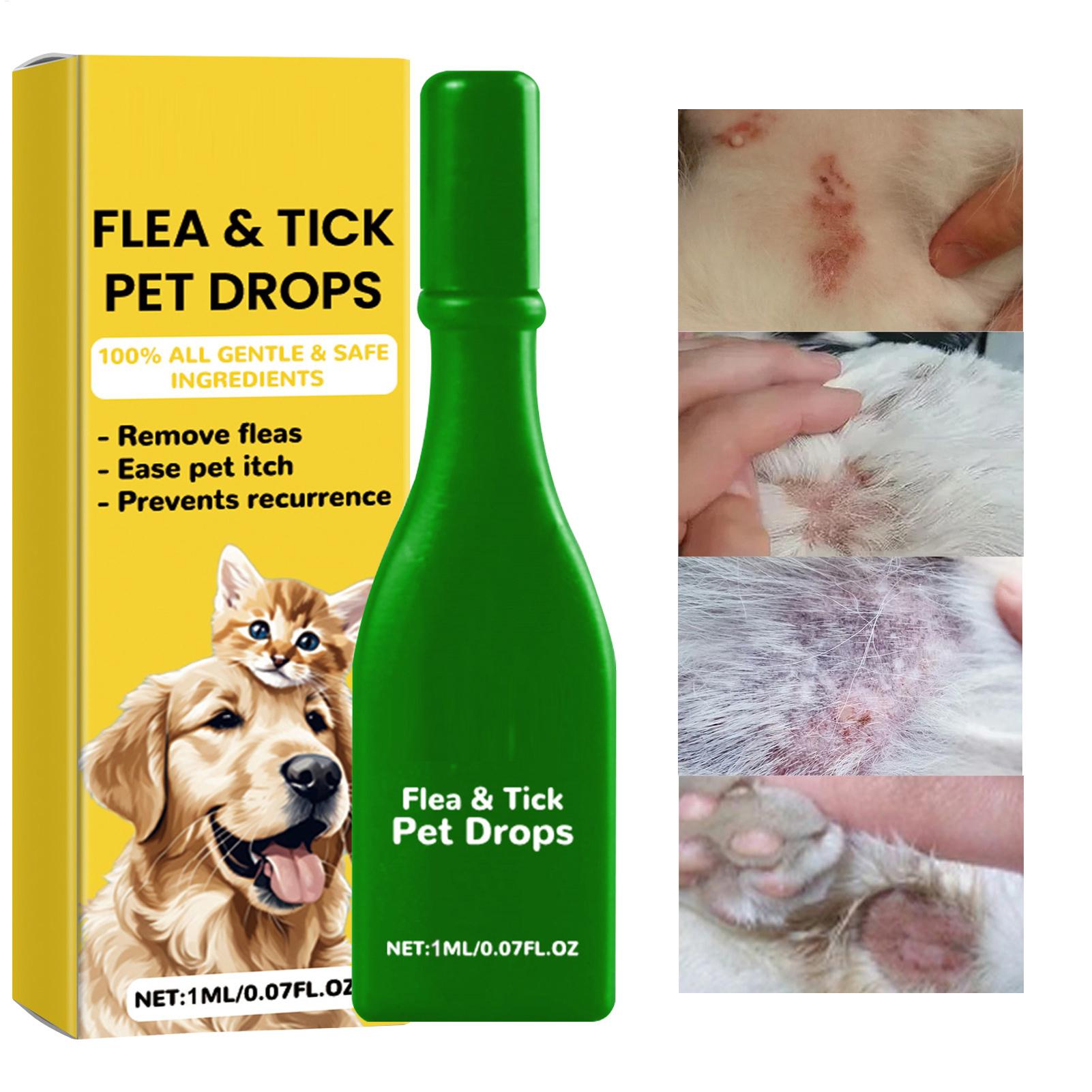 Cat Anti Flea Drops Flea Lice  - Pet Supplies Dropshipping review and price