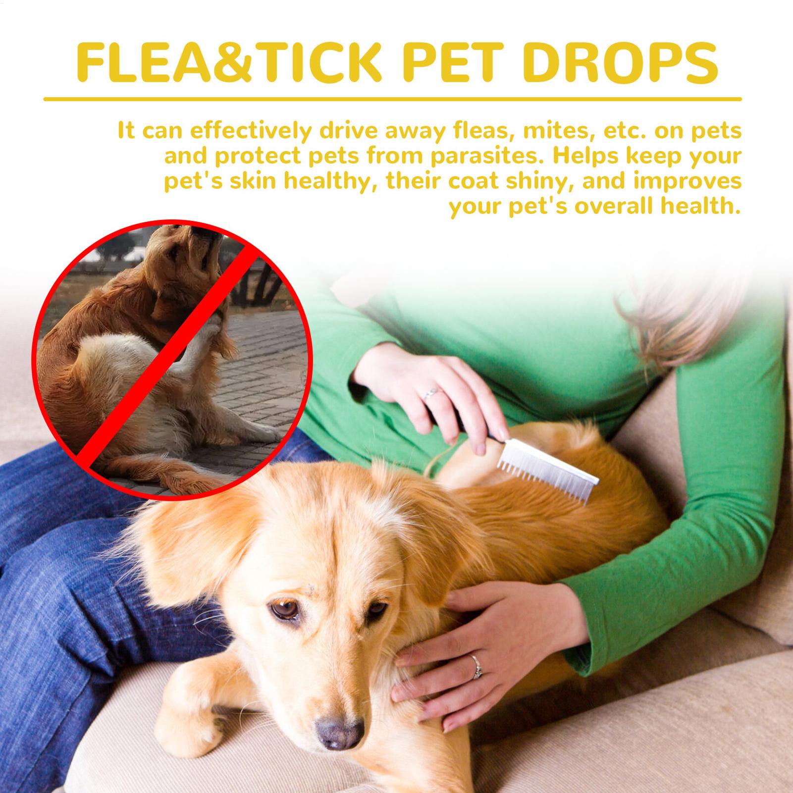 Cat Anti Flea Drops Flea Lice  - Pet Supplies Dropshipping review and price