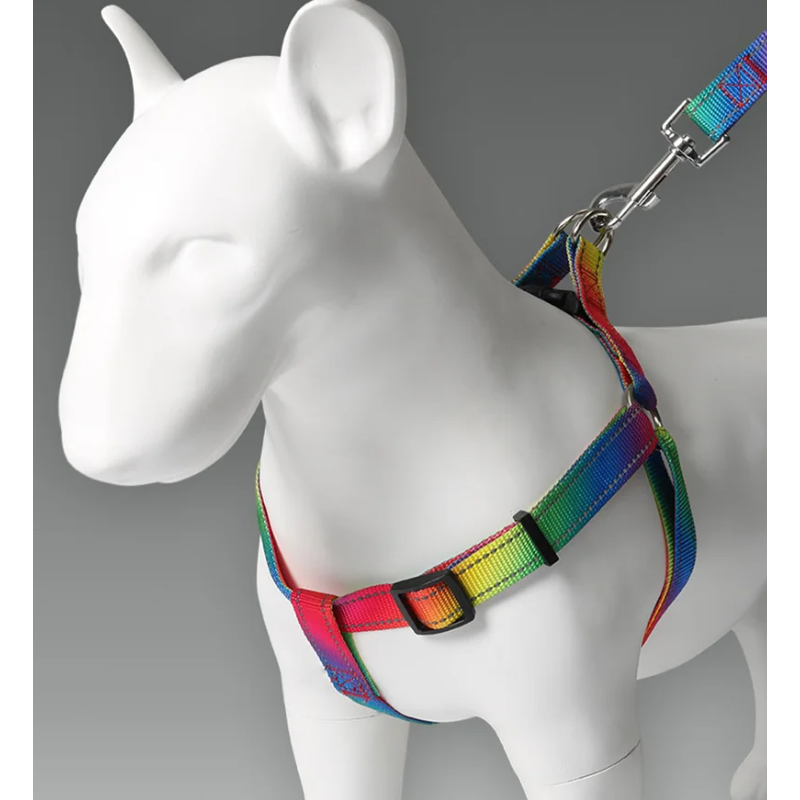 Zhenjia Rainbow Colorful Dog H - No Pull Dog Harness review and price