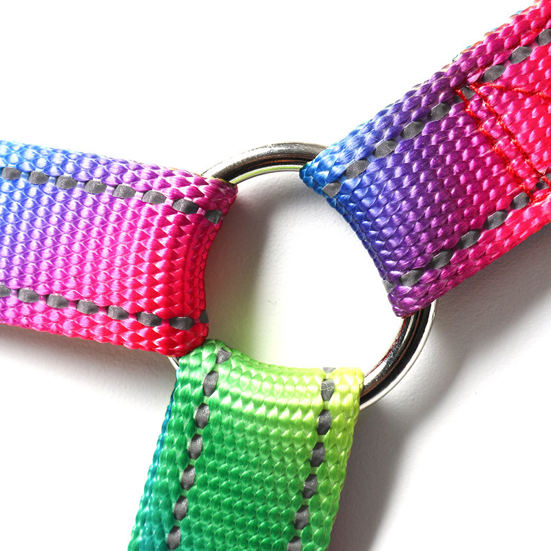 Zhenjia Rainbow Colorful Dog H - No Pull Dog Harness review and price